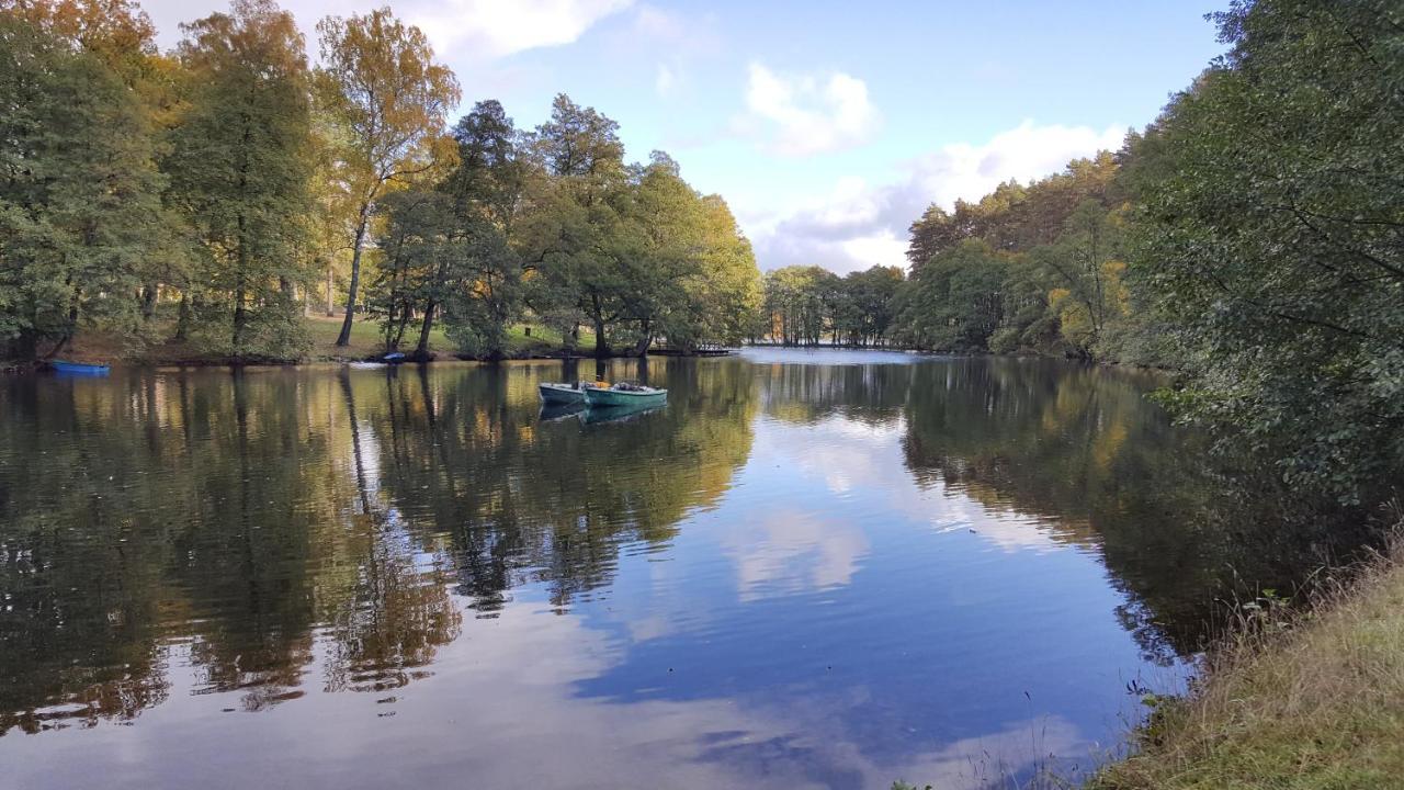 Osrodek Wypoczynkowy Soszko Villa Сворнегаче Екстериор снимка
