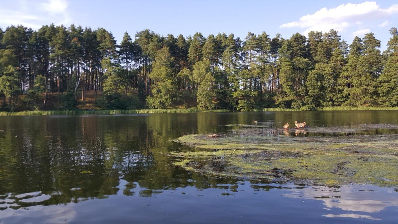 Osrodek Wypoczynkowy Soszko Villa Сворнегаче Екстериор снимка