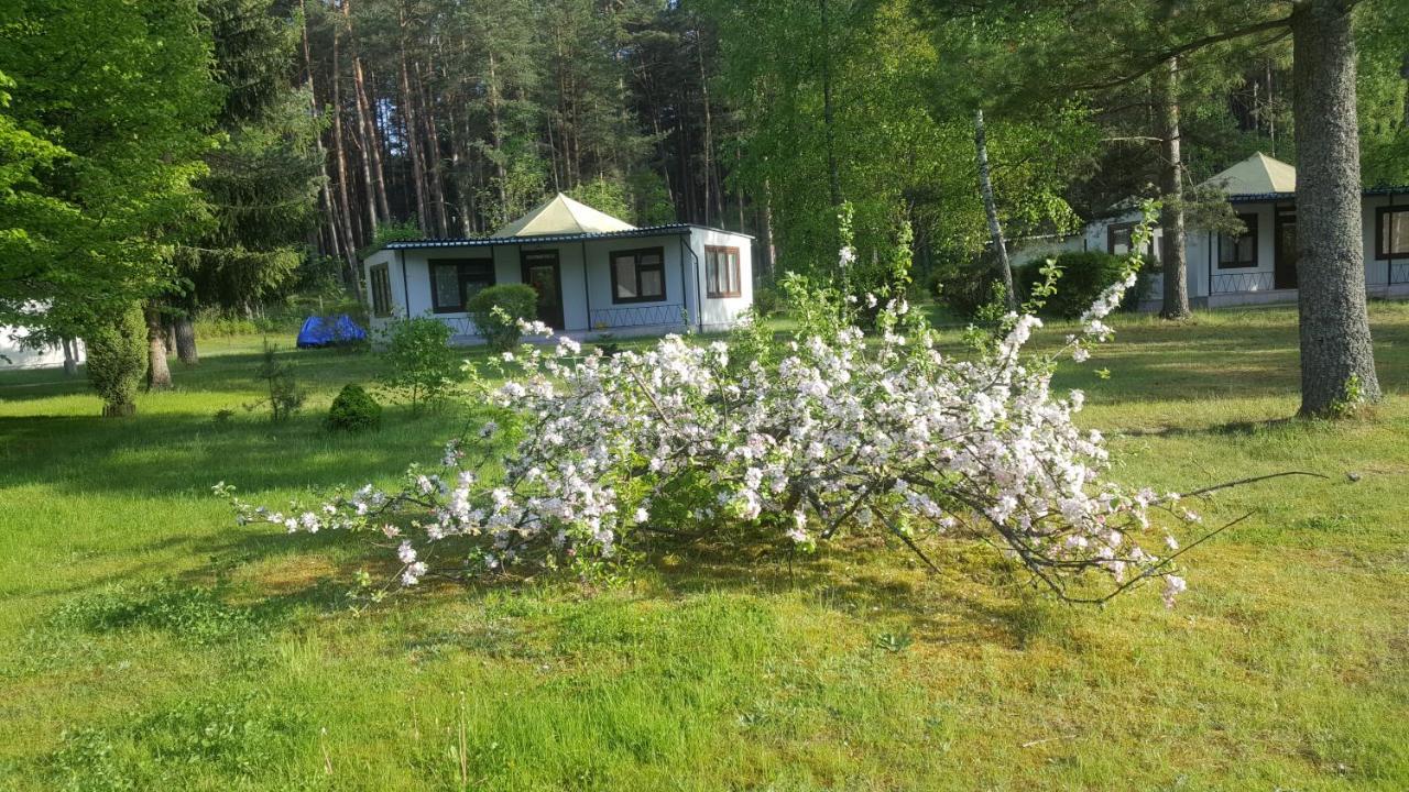 Osrodek Wypoczynkowy Soszko Villa Сворнегаче Екстериор снимка