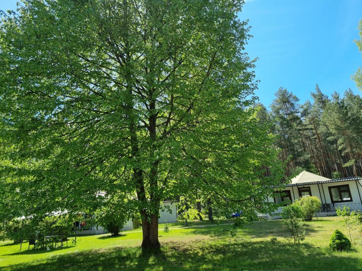 Osrodek Wypoczynkowy Soszko Villa Сворнегаче Екстериор снимка
