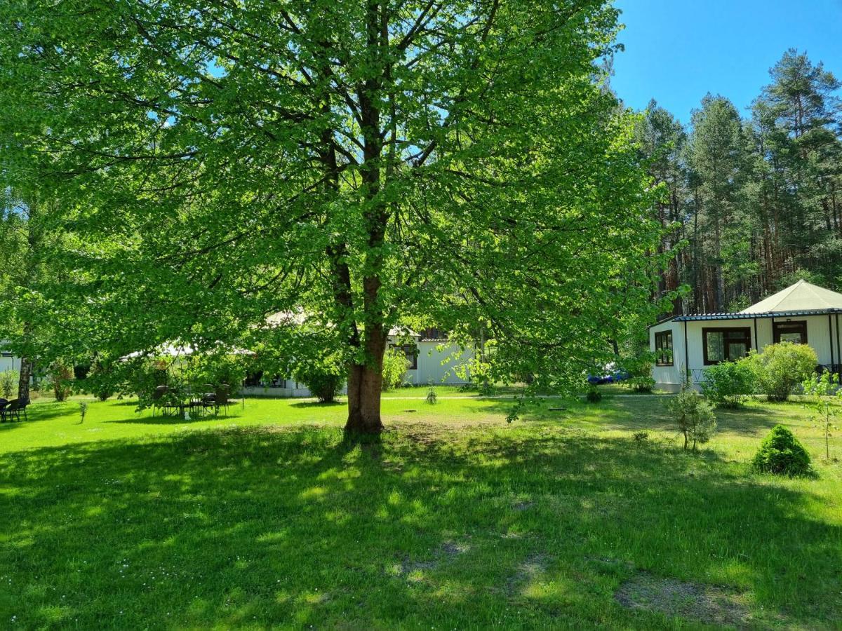Osrodek Wypoczynkowy Soszko Villa Сворнегаче Екстериор снимка
