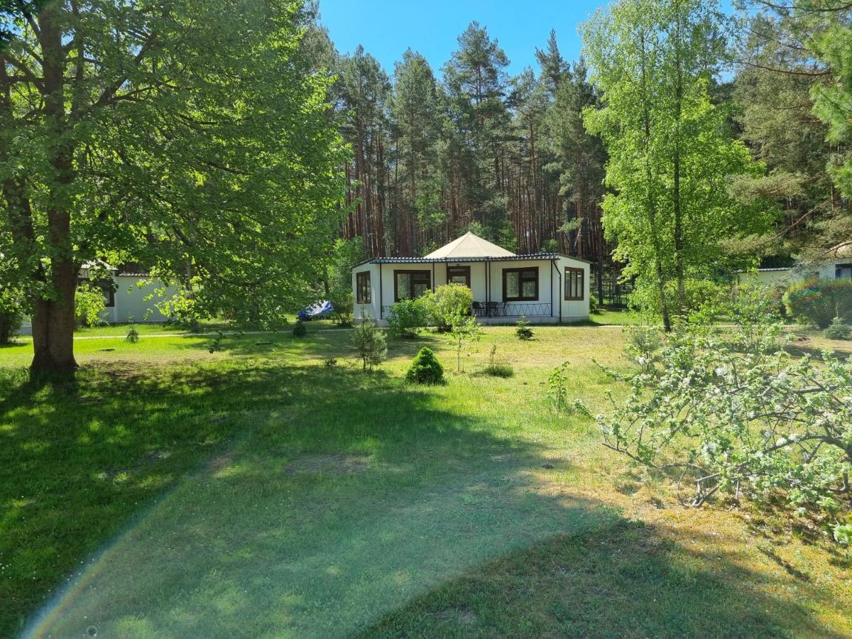 Osrodek Wypoczynkowy Soszko Villa Сворнегаче Екстериор снимка