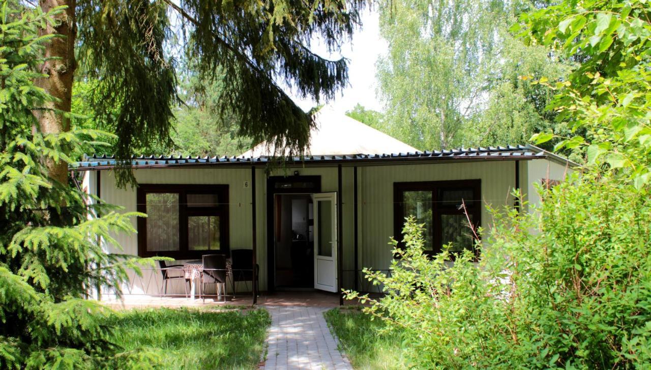 Osrodek Wypoczynkowy Soszko Villa Сворнегаче Екстериор снимка